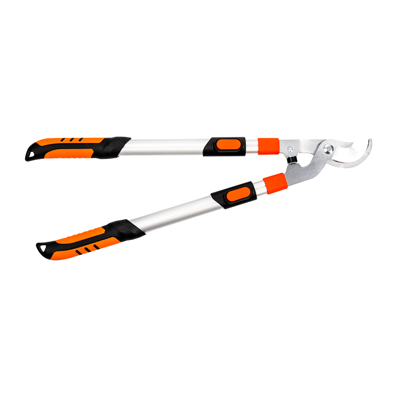 C4201 Telescopic bypass Loppes