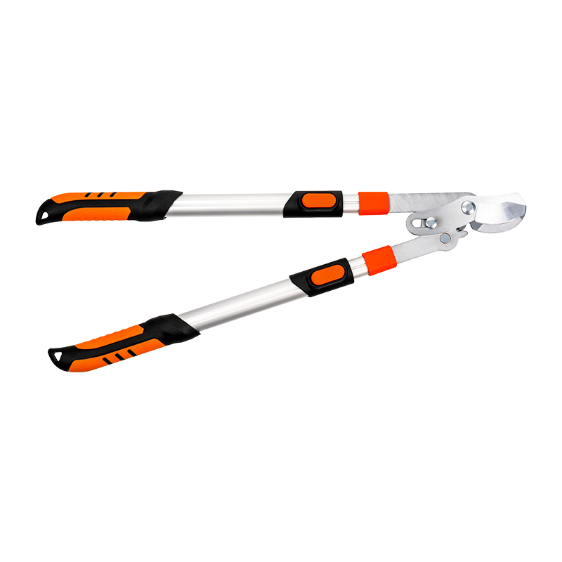 C4202 Telescopic Labor salutaris bypass Loppes