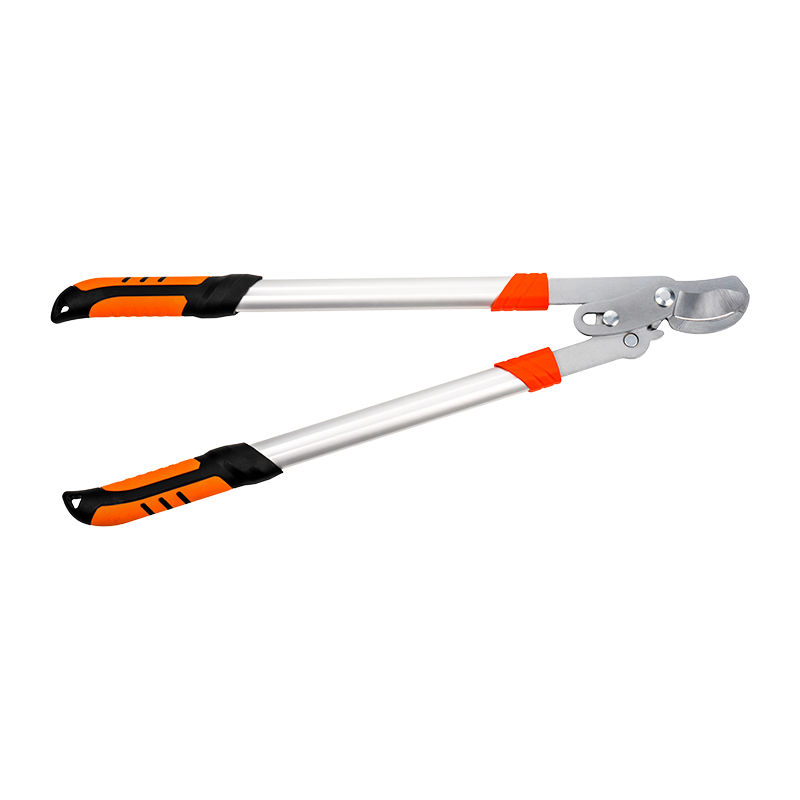 C4102 Labor salutaris bypass Loppes