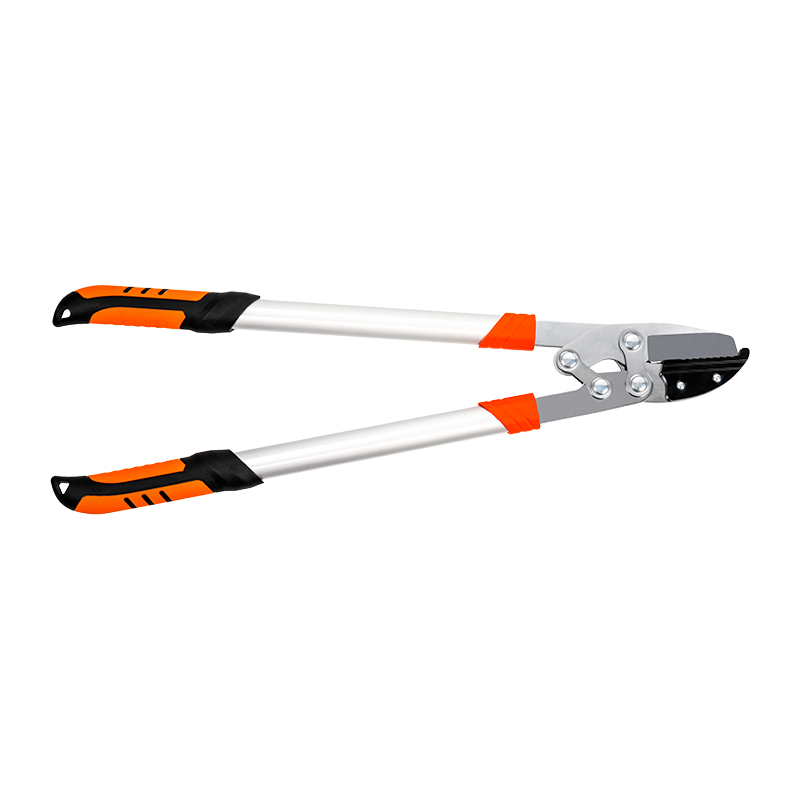 C5102 Labor salutaris Incus Loppes