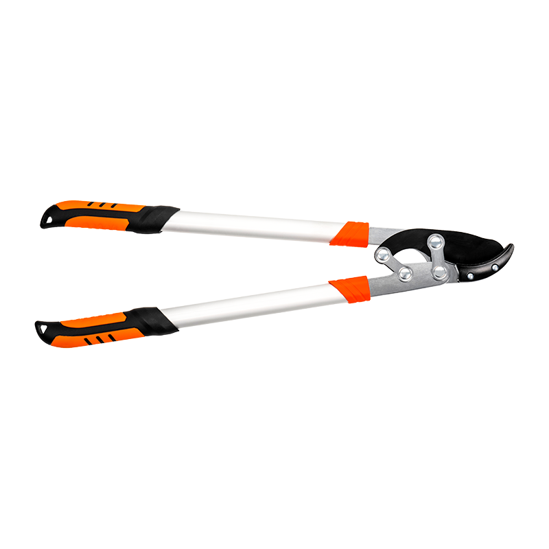 C5101 Labor salutaris Incus Loppes