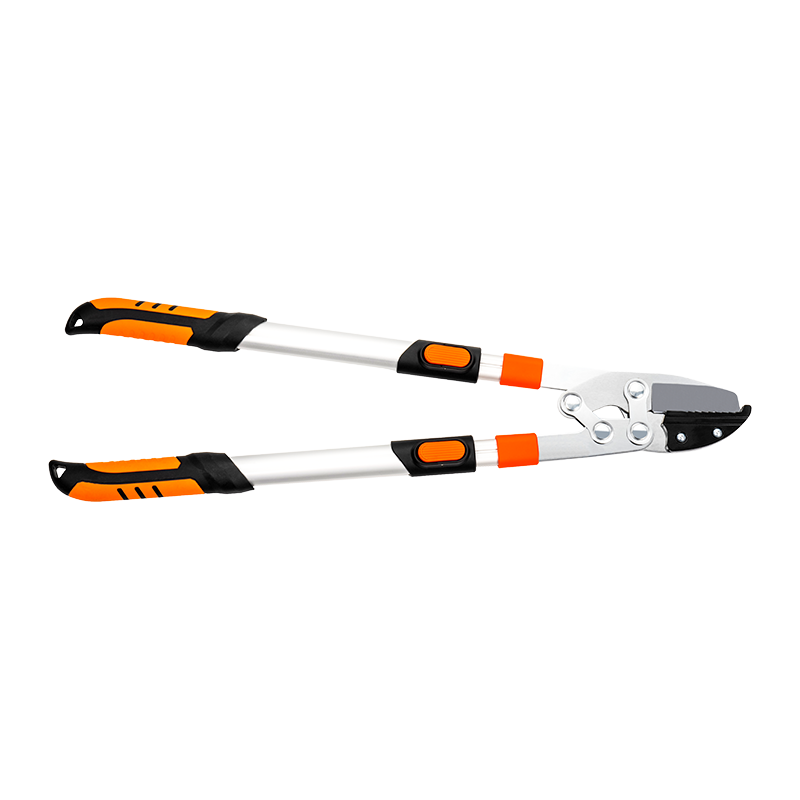 C5202 Telescopic Labor salutaris Incus Loppes