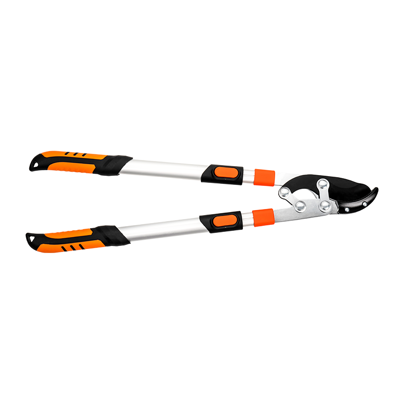 C5201 Labor salutaris Telescopic Incus Loppes